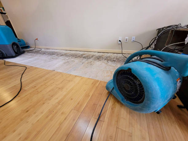 Professional Water Damage Repair technician working in Saint Leo, FL